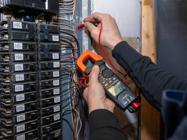 Best Electrician for Home Renovation  in Eddyville, IA