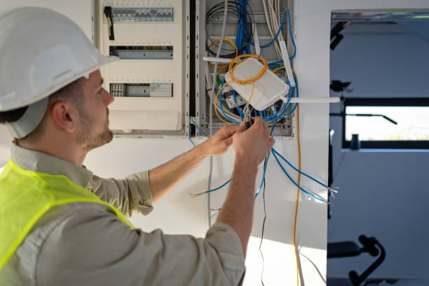 Best Electric Panel Repair  in Eddyville, IA